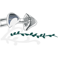 Drawing Hobbies Drawing Hobbies