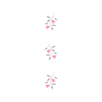 Drawing Hobbies Drawing Hobbies