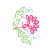 Drawing Hobbies Drawing Hobbies