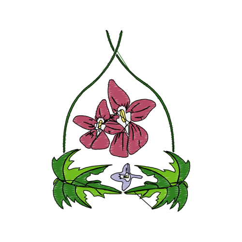 Drawing Hobbies Drawing Hobbies