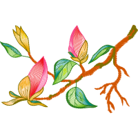 Flower Hobbies Flower Hobbies