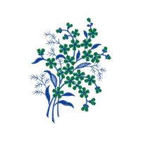 Flower Hobbies Flower Hobbies