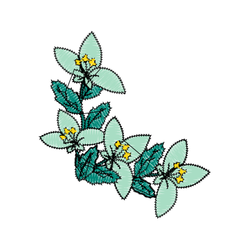 Flower Hobbies Flower Hobbies