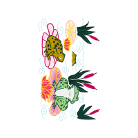 Flower Hobbies Flower Hobbies