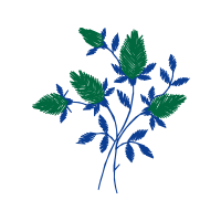 Flower Hobbies Flower Hobbies