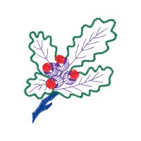 Flower Hobbies Flower Hobbies