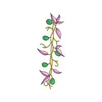 Flower Hobbies Flower Hobbies