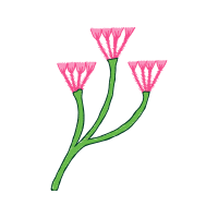 Flower Hobbies Flower Hobbies