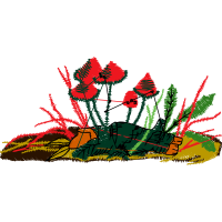 Flower Hobbies Flower Hobbies