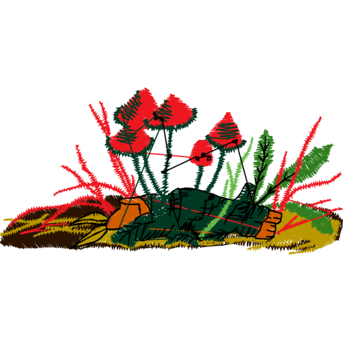 Flower Hobbies Flower Hobbies