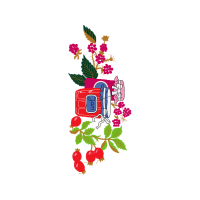 Flower Hobbies Flower Hobbies