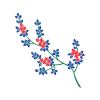 Flower Hobbies Flower Hobbies