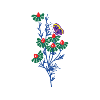 Flower Hobbies Flower Hobbies