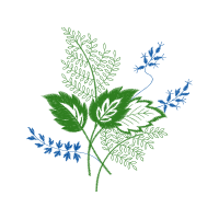 Flower Hobbies Flower Hobbies