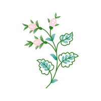 Flower Hobbies Flower Hobbies