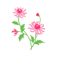 Flower Hobbies Flower Hobbies