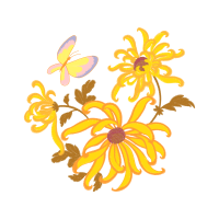 Flower Hobbies Flower Hobbies