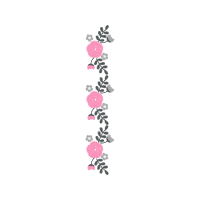 House Sparrow Hobbies House Sparrow Hobbies