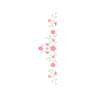 Illustration Hobbies