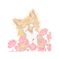 Illustration Hobbies