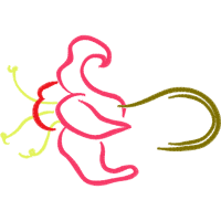 Illustration Hobbies