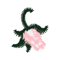 Illustration Hobbies