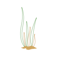 Illustration Hobbies