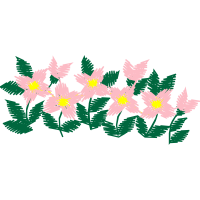 Illustration Hobbies