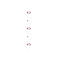 Illustration Hobbies