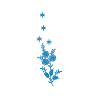 Illustration Hobbies