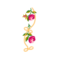 Illustration Hobbies