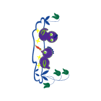 Illustration Hobbies