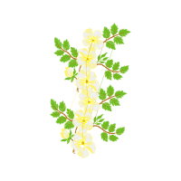 Illustration Hobbies