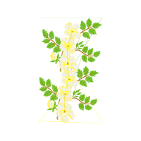 Illustration Hobbies