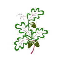 Illustration Hobbies