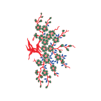 Illustration Hobbies