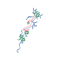 Illustration Hobbies