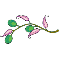 Illustration Hobbies