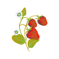 Illustration Hobbies