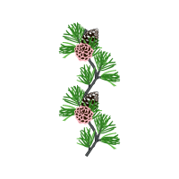 Illustration Hobbies