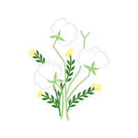 Illustration Hobbies