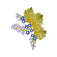 Illustration Hobbies