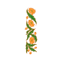 Illustration Hobbies