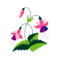 Illustration Hobbies