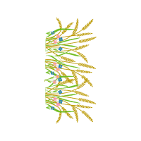 Illustration Hobbies