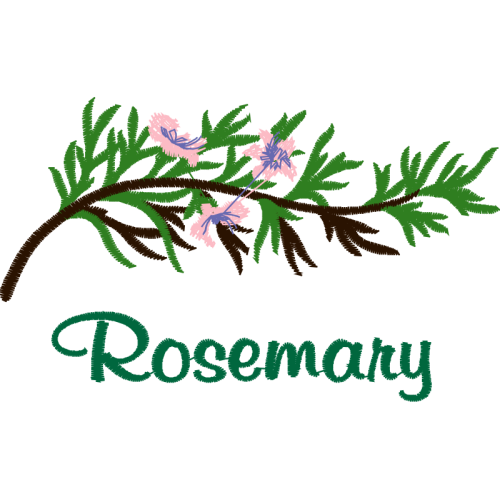 Illustration Hobbies Illustration Hobbies