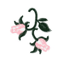 Illustration Hobbies Illustration Hobbies