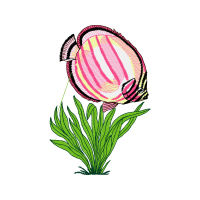 Illustration Hobbies