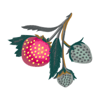 Illustration Hobbies