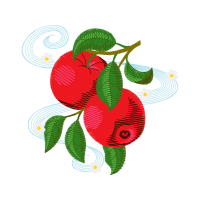 Illustration Hobbies